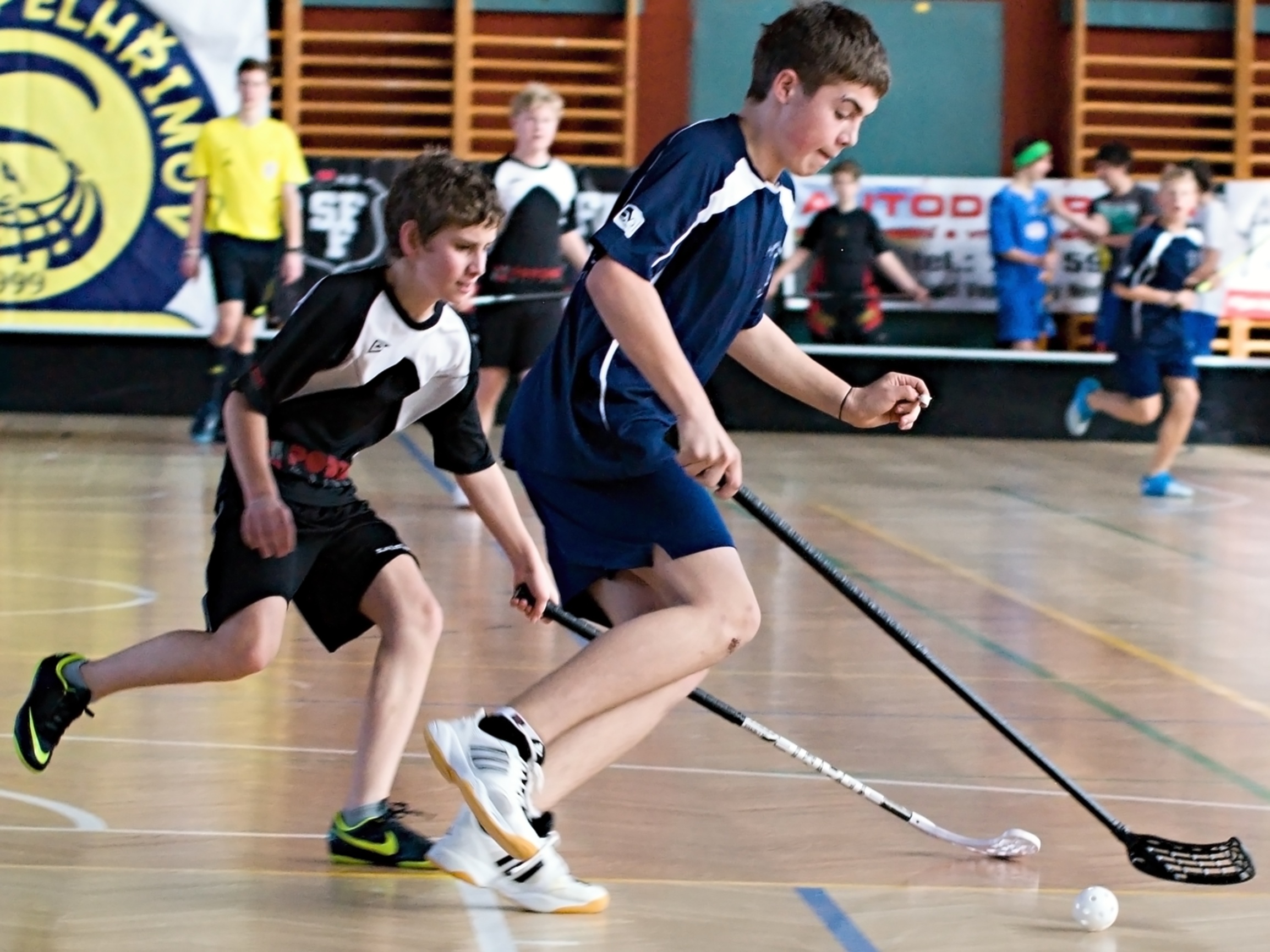 Strži v PE 13.4.2013 (16